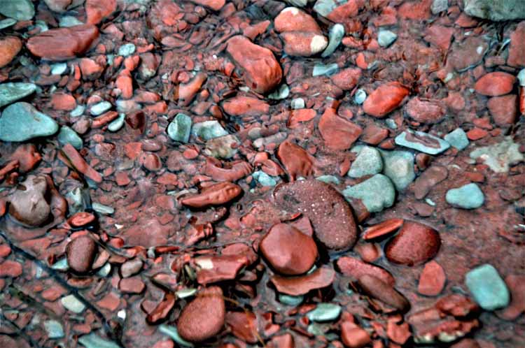 red and green rocks in water